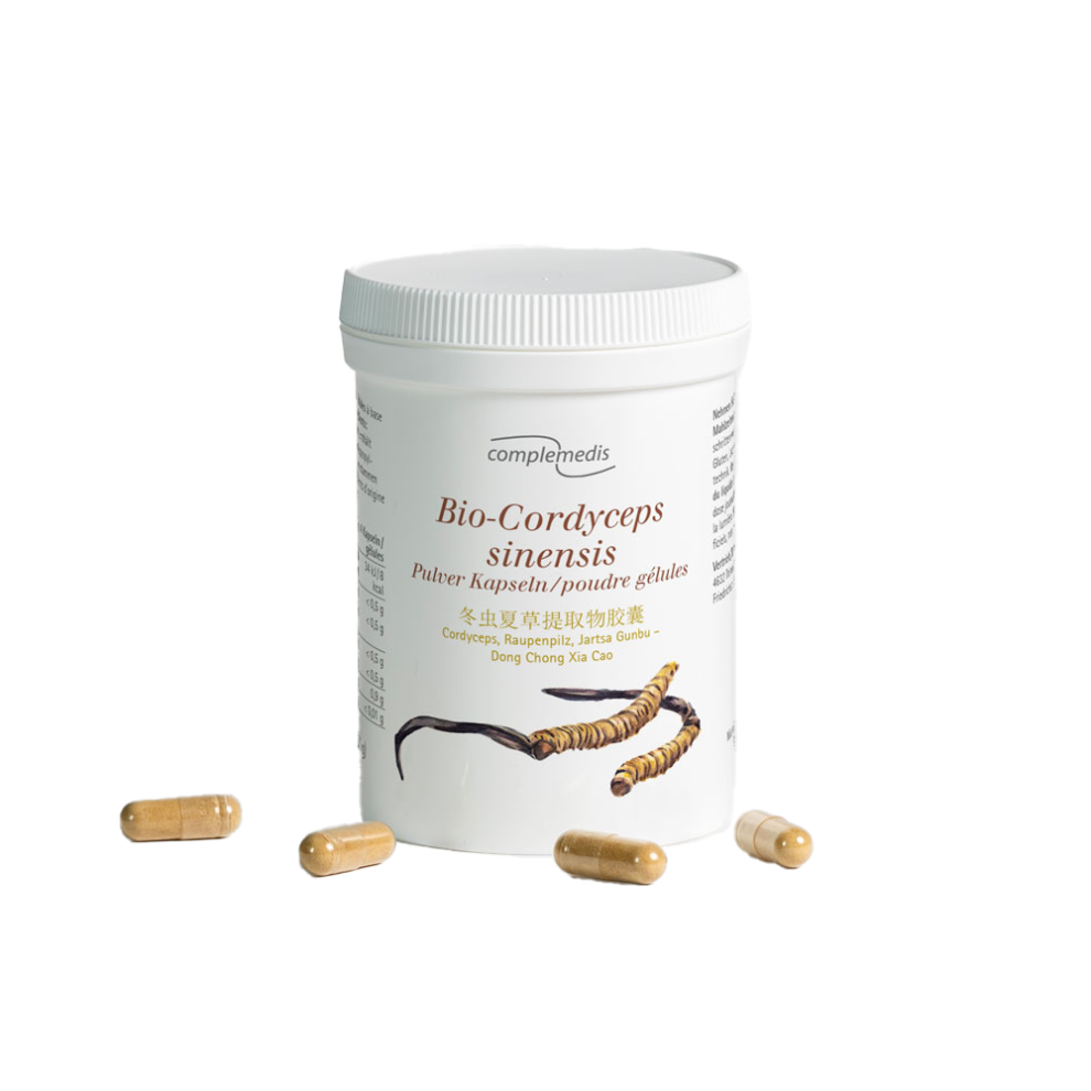 Cordyceps Pulver Dose mit Kapseln freigestellt
